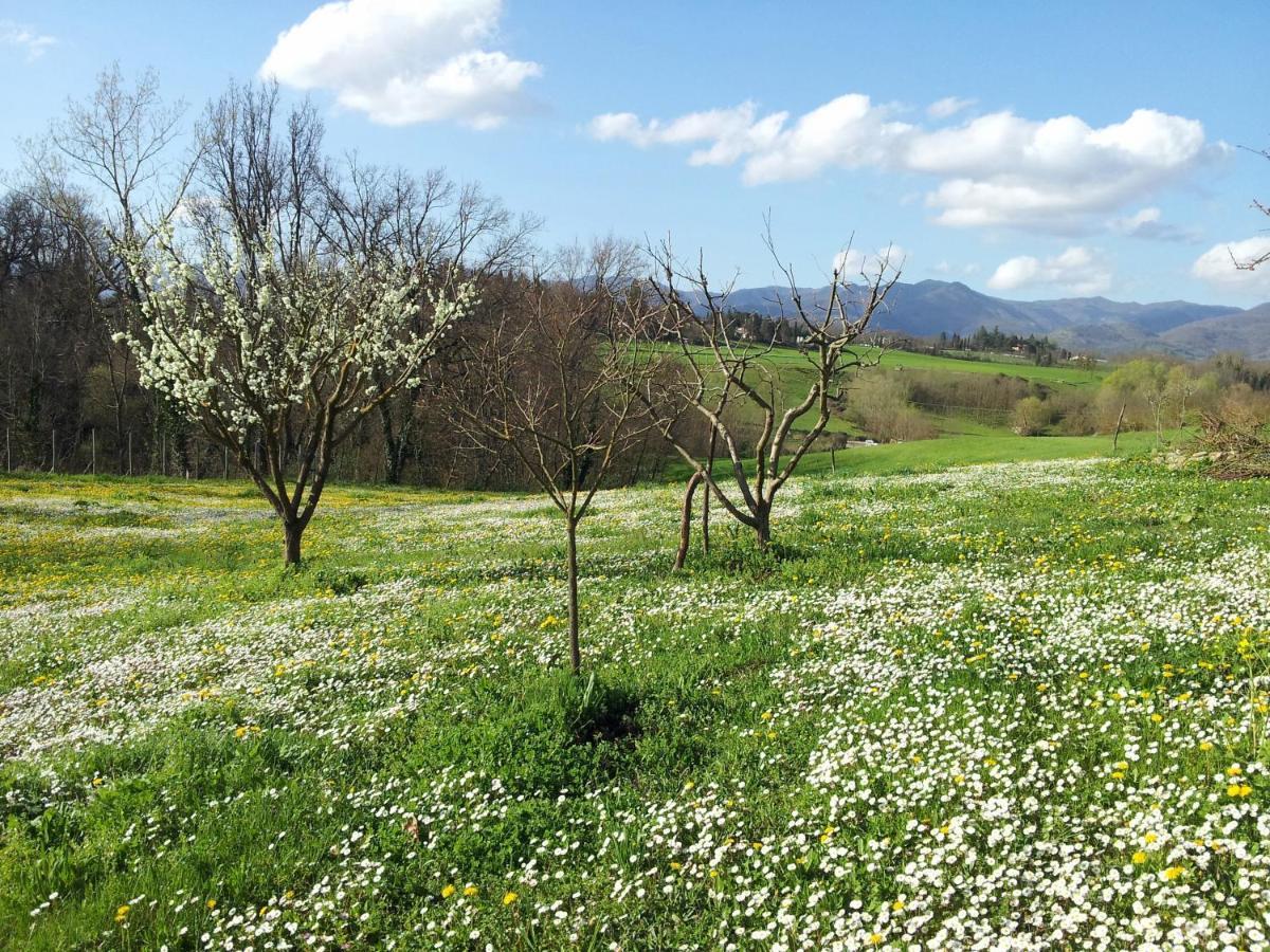 Tuscan Hills - Stonehouse, Garden & Pool Викио Екстериор снимка