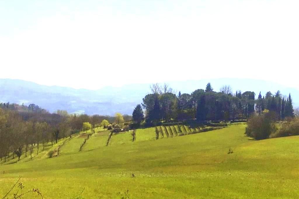 Tuscan Hills - Stonehouse, Garden & Pool Викио Екстериор снимка